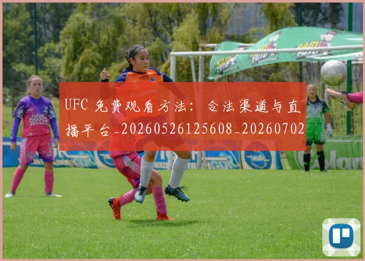 UFC 免费观看方法：合法渠道与直播平台_20260526125608_20260702171223