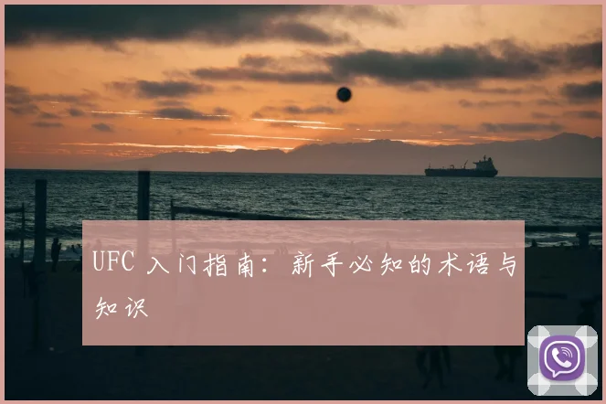 UFC 入门指南：新手必知的术语与知识