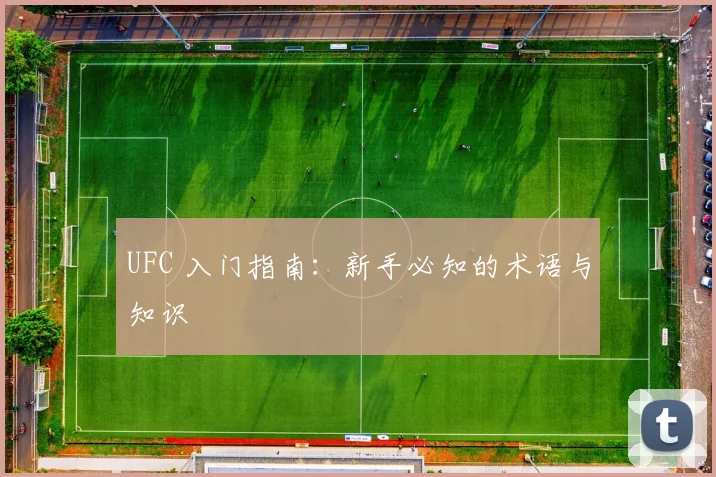 UFC 入门指南:新手必知的术语与知识